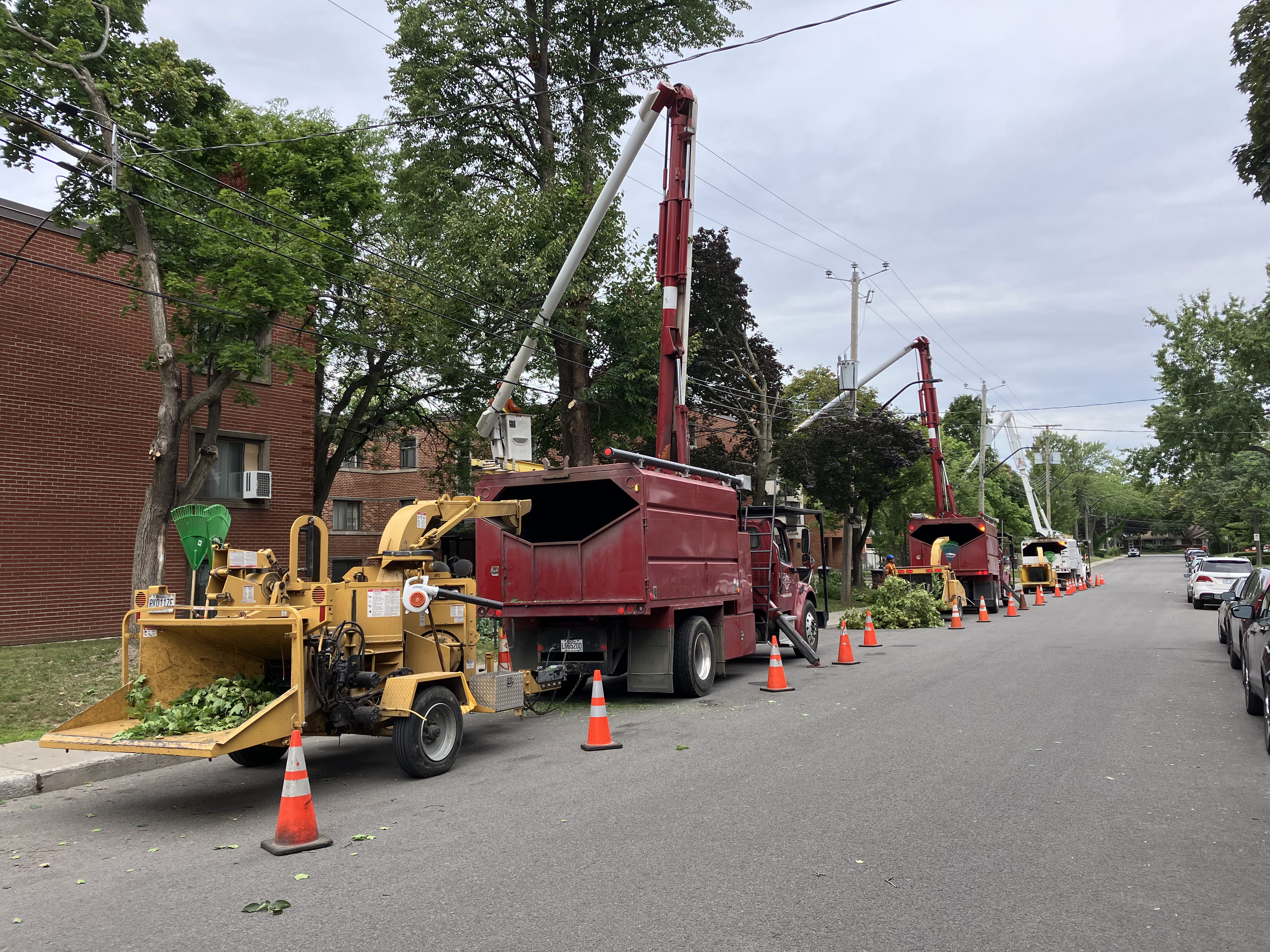 Services liés à l'arboriculture | Emondage Martel