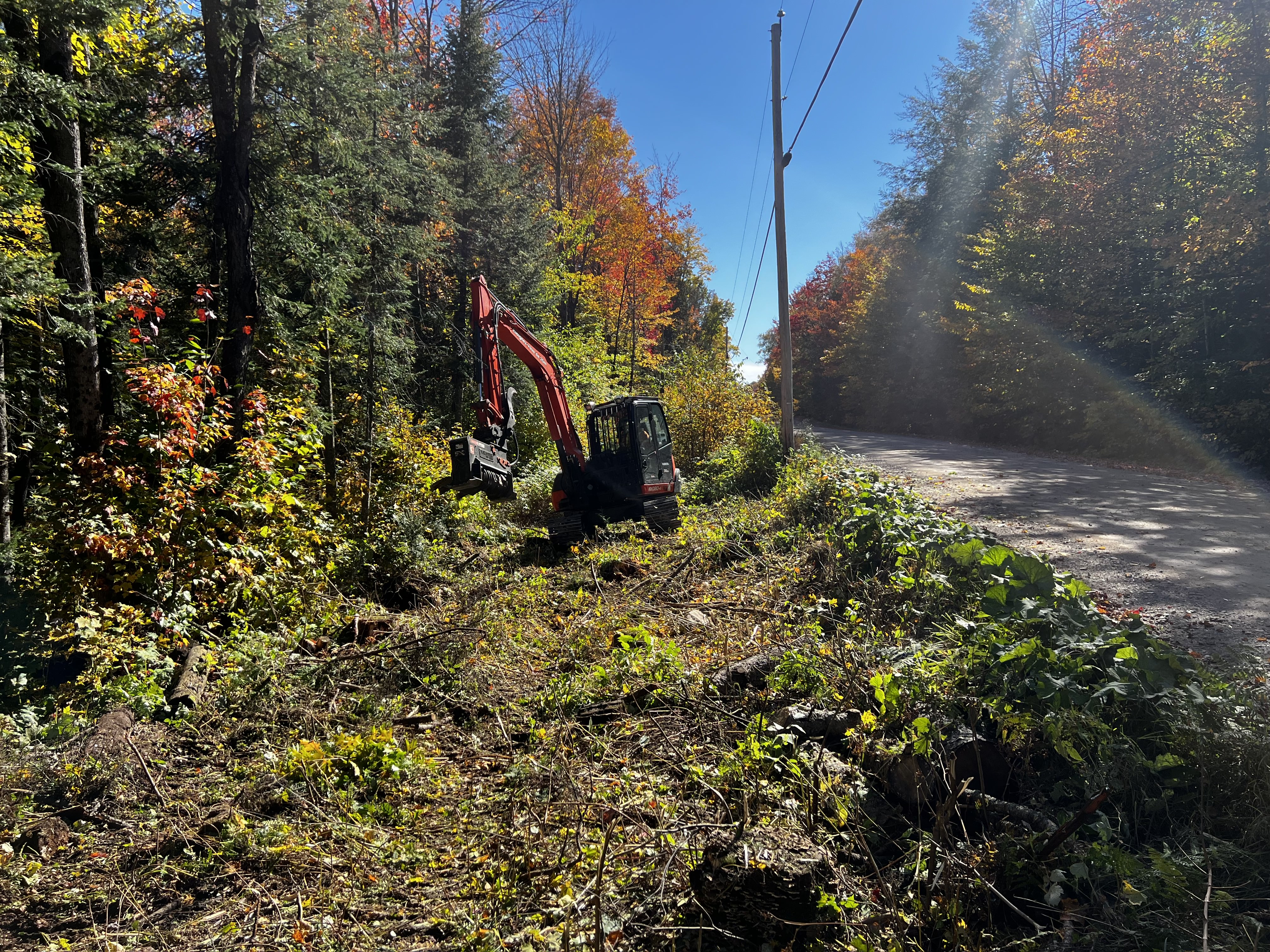 Services liés à l'arboriculture | Emondage Martel